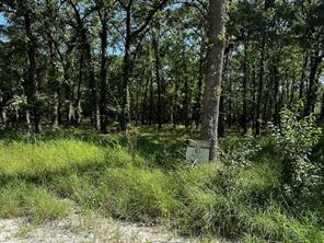 924 Woodland Drive - Photo 5