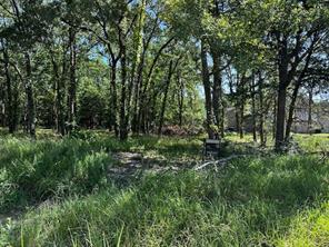 Lot 25 Woodland Drive - Photo 5
