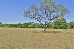 299 Private Road 1452 - Photo 10
