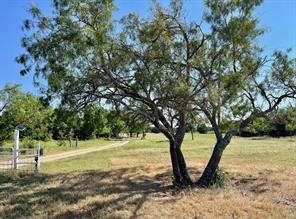 299 Private Road 1452 - Photo 11