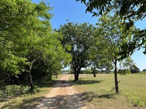 299 Private Road 1452 - Photo 4