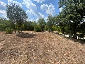 1406 Willow Wood Court - Photo 3