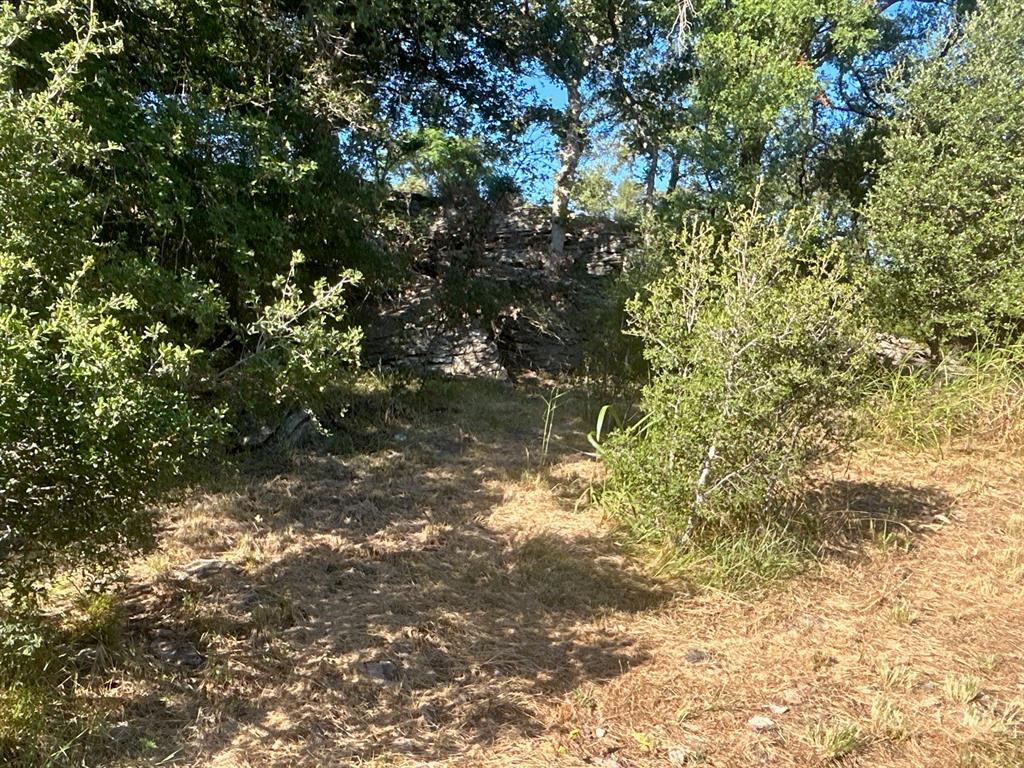 TBD Cr 554, Brownwood Tx7 County Road 554 - Photo 1