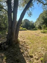 TBD Cr 554, Brownwood Tx7 County Road 554 - Photo 2