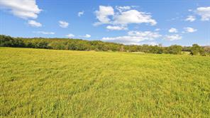 2296 County Road 290 - Photo 16