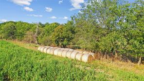 2296 County Road 290 - Photo 31