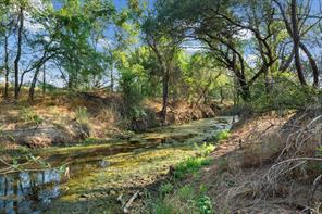 2296 County Road 290 - Photo 35