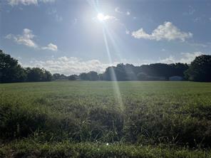 210 Tomahawk Drive - Photo 4