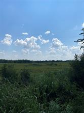 TBD County Road 703A - Photo 13