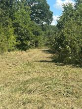 TBD County Road 703A - Photo 17