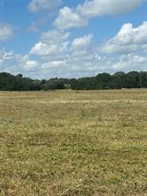 TBD County Road 703A - Photo 20