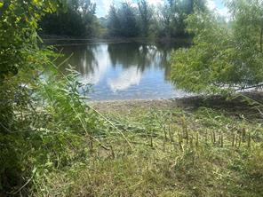TBD County Road 703A - Photo 21