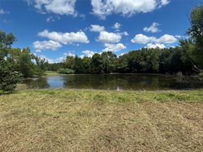 TBD County Road 703A - Photo 23