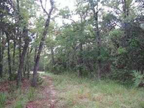 TBD PR 1002 - Photo 10