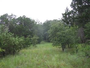 TBD PR 1002 - Photo 16