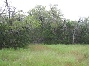 TBD PR 1002 - Photo 32