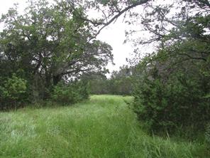 TBD PR 1002 - Photo 7