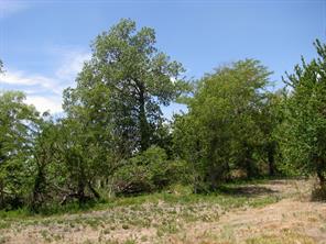 TBD County Road 404 - Photo 12