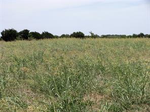 TBD County Road 404 - Photo 14
