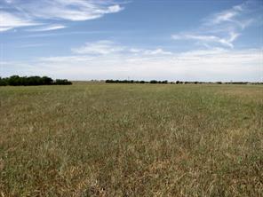 TBD County Road 404 - Photo 20