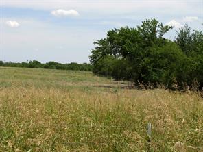TBD County Road 404 - Photo 21