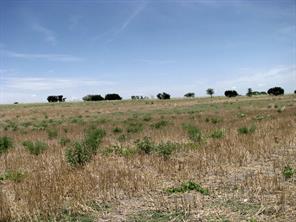 TBD County Road 404 - Photo 22