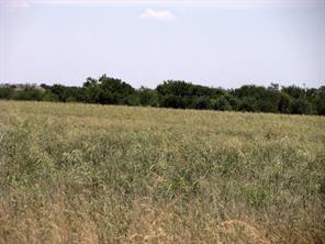 TBD County Road 404 - Photo 23