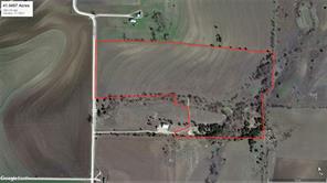 TBD County Road 404 - Photo 24