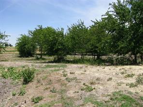 TBD County Road 404 - Photo 4