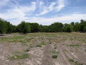 TBD County Road 404 - Photo 7