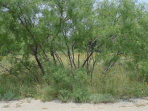 TBD Oak Hollow Drive - Photo 3