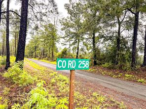 1 CR 257 - Photo 14