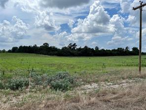 94 PR 1315 10.01 Acre TR 94 - Photo 10