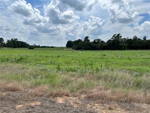 94 PR 1315 10.01 Acre TR 94 - Photo 11