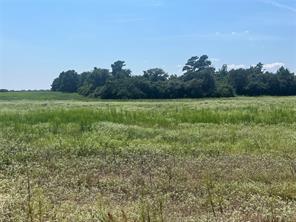 94 PR 1315 10.01 Acre TR 94 - Photo 12