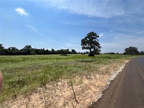 94 PR 1315 10.01 Acre TR 94 - Photo 13