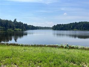 94 PR 1315 10.01 Acre TR 94 - Photo 20