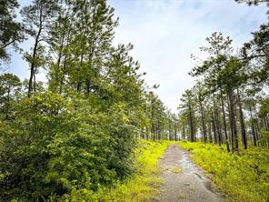 5 CR 257 - Photo 2