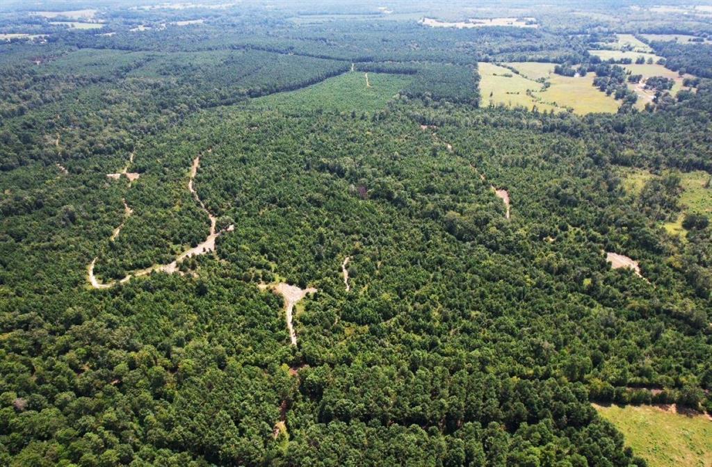 TBD County Road 3163 - Photo 1