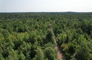 TBD County Road 3163 - Photo 10