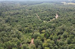 TBD County Road 3163 - Photo 15