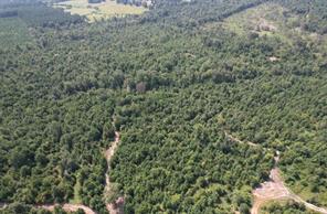 TBD County Road 3163 - Photo 18