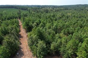 TBD County Road 3163 - Photo 19
