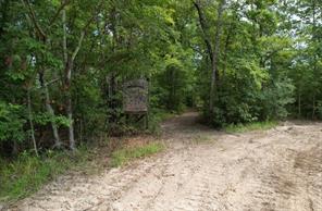 TBD County Road 3163 - Photo 20