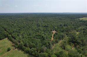 TBD County Road 3163 - Photo 22