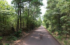 TBD County Road 3163 - Photo 24