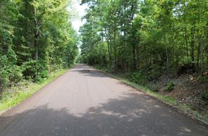 TBD County Road 3163 - Photo 25