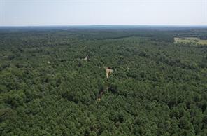 TBD County Road 3163 - Photo 26