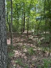 TBD County Road 3163 - Photo 27
