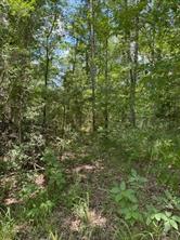 TBD County Road 3163 - Photo 28